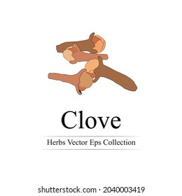 colección de cepas vectoriales de las hierbas clove