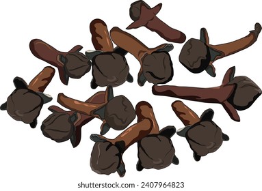 Clove aislado en un fondo blanco