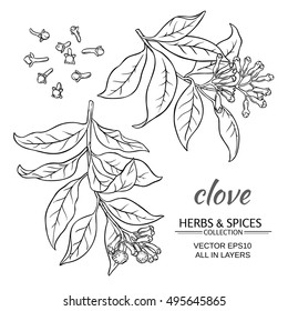 clove plant vector set on white background