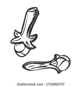 Clove seeds. Spicy seasoning for cooking and decorating food and drinks, mulled wine. Grains of cloves in Doodle style. Hand drawn and isolated on a white background. Black and white vector