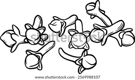 clove seeds  vector isolated outline illustration 