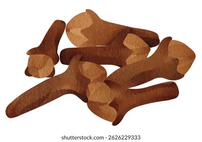 Clove Spice Herb Illustration for Culinary Design