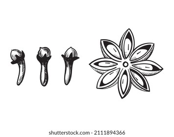 Esbozo lineal de la especia de guante. Ilustración vectorial aislada en fondo blanco.