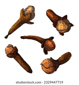 clove spice set hand drawn. ingredient seasoning, natural aroma, spicy brown clove spice vector sketch. isolated color illustration