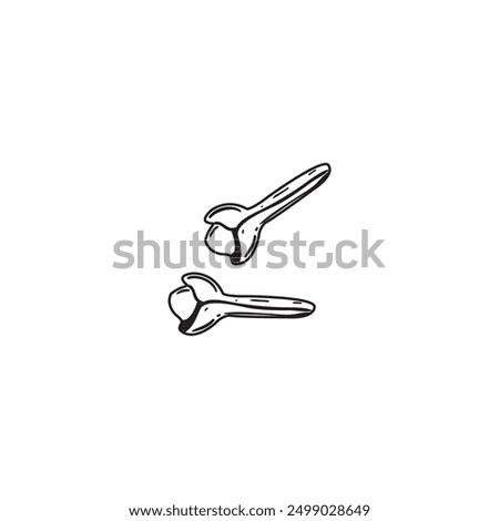 Clove spice vector black outline  clip art , doodle isolated 