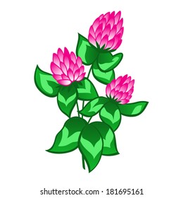 clover