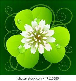 Clover