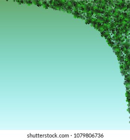 Clover background green is a confetti which consist of many isolated elements. Stylish and beautiful clover background green. Can be used as poster, border, background, wallpaper, card and etc