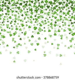 Clover background on white, vector