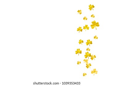 Clover background for Saint Patricks Day.  Lucky trefoil confetti. Glitter frame of shamrock leaves. Template for special business offer, banner, flyer. Festive clover background.