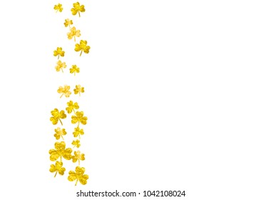 Clover background for Saint Patricks Day.  Lucky trefoil confetti. Glitter frame of shamrock leaves. Template for party invite, retail offer and ad. Happy clover background.