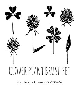 Clover. Brush set. Hand drawn illustration. Isolated on white background. Vector illustration