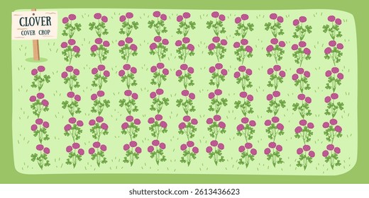 Clover cover crop. Clover background. Gardening and nature concept. Vector hand drawn banner.