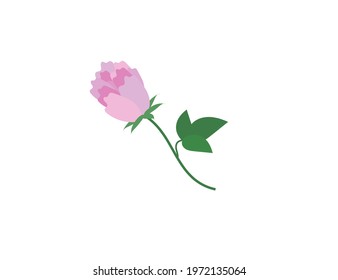 Clover flower icon. Vector illustration