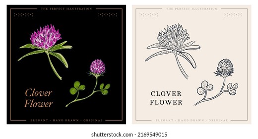 Clover flower set sketch blossom - Shutterstock ID 2169549015