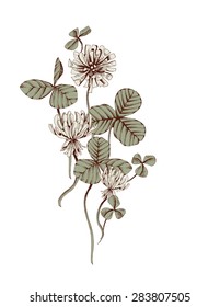 Clover Flowers, eps 8