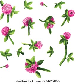 Clover flowers. Hand drawn illustration.