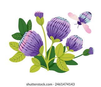 Clover flowers and leaves. Blooming plant and bee or bumblebee. Medicinal plant, aromatic herb