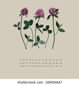 Clover flowers notebook