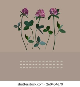Clover flowers notebook