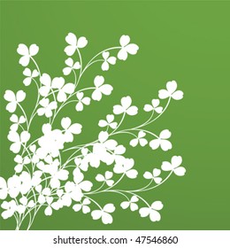 Clover foliage. Background for design