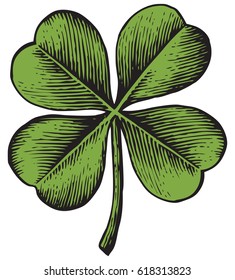 clover with four leaf - vintage engraved vector illustration (hand drawn style)