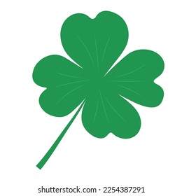 Clover with four leaves isolated on white background. Shamrock St Patrick Irish symbol.