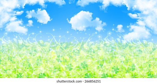 Clover grass background