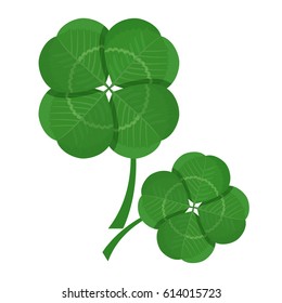 Clover green leaves isolated on white background. Trefoil foliage vector illustration in realistic style design. Symbol of Saint Patrick day holiday, decorative summer plant