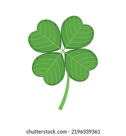 Clover Green Stem on white background. Clover Green Stem with Trifoliate Leaves Vector Illustration.