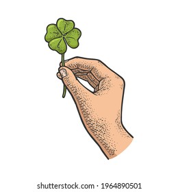 clover in hand color sketch engraving vector illustration. T-shirt apparel print design. Scratch board imitation. Black and white hand drawn image.