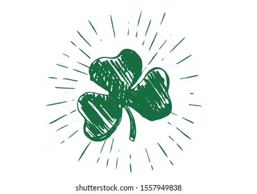 Clover, hand drawn illustration. Patrick day.