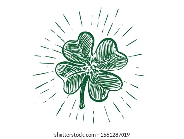 Clover, hand drawn illustration. Patrick day.
