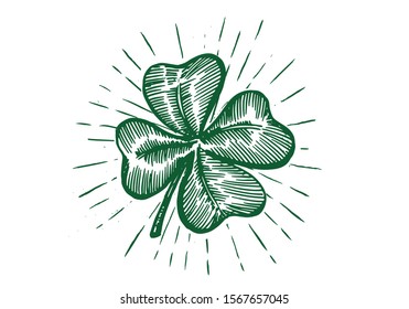 Clover, hand drawn illustration. Patrick day.	