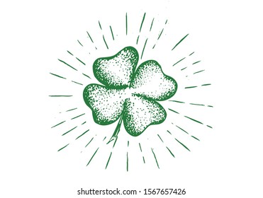 Clover, hand drawn illustration. Patrick day.	