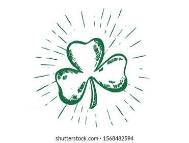 Clover, hand drawn illustration. Patrick day.	