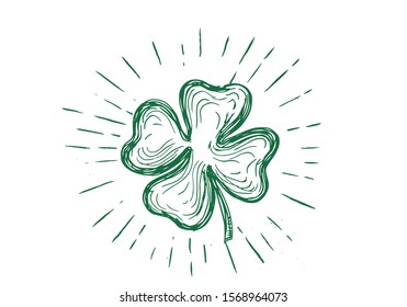 Clover, hand drawn illustration. Patrick day.	
