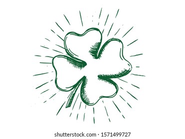 Clover, hand drawn illustration. Patrick day.	