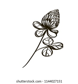 Clover in hand drawn, sketch style. Decorative floral element for greeting cards, invitations and much more. Outline vector illustration isolated on white background.
