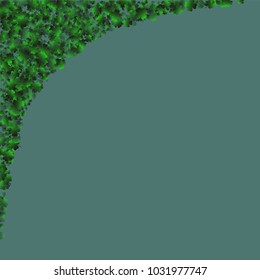 Clover isolated is a confetti which consist of many isolated elements. Stylish and beautiful clover isolated. Can be used as poster, border, background, wallpaper, card and etc