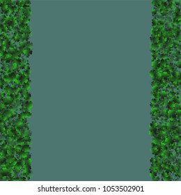 Clover isolated is a confetti which consist of many isolated elements. Stylish and beautiful clover isolated. Can be used as poster, border, background, wallpaper, card and etc