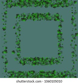 Clover isolated is a confetti which consist of many isolated elements. Stylish and beautiful clover isolated. Can be used as poster, border, background, wallpaper, card and etc