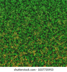 Clover isolated green is a confetti which consist of many isolated elements. Stylish and beautiful clover isolated green. Can be used as poster, border, background, wallpaper, card and etc