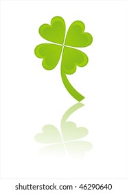 clover isolated on white