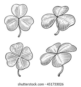 Clover Leaf Engraving Style Vector Illustration. Scratch Board Style Imitation