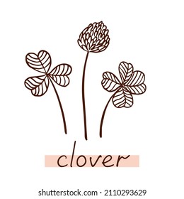 Clover Leaf And Flower. Hand Drawn Clover Silhouette.