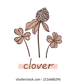 Clover Leaf And Flower. Hand Drawn Clover Silhouette.