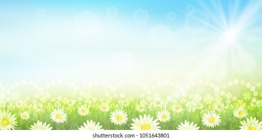 Clover leaf green background