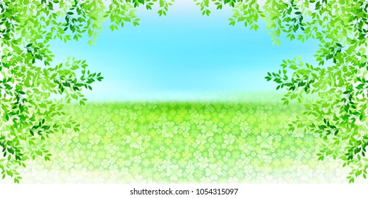 Clover leaf green background