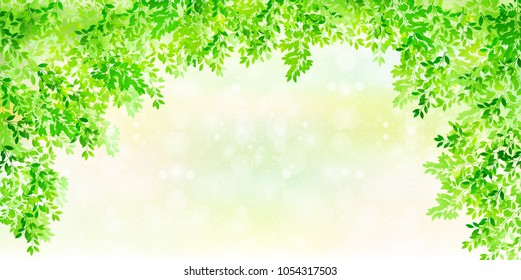 Clover leaf green background